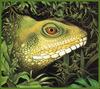 [LRS Animals In Art] Robert Jew, Lizard Head