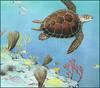 [LRS Animals In Art] John Sill, Green Turtle