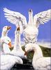 [LRS Barnyard Bestiary] Allen Kimball, Goose