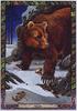 [LRS - The Druid Animal Oracle] Painted by Bill Worthington, Bear