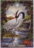 [LRS - The Druid Animal Oracle] Painted by Bill Worthington, Crane