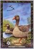 [LRS - The Druid Animal Oracle] Painted by Bill Worthington, Goose