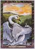[LRS - The Druid Animal Oracle] Painted by Bill Worthington, Swan