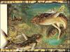 [LRS - The Waterhole] Painted by Graeme Base, Catfish