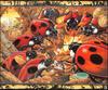 [LRS - The Waterhole] Painted by Graeme Base, Ladybugs