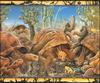 [LRS - The Waterhole] Painted by Graeme Base, Tortoises