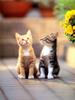 [Pure Cats Vol. 002]
