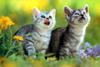 [Pure Cats Vol. 005]