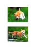 [Pure Cats Vol. 005]