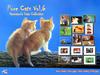 [Pure Cats Vol. 006] Index