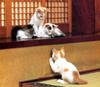 [Pure Cats Vol. 006]