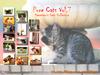 [Pure Cats Vol. 007] Index