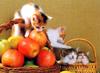 [Pure Cats Vol. 007]