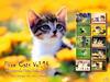 [Pure Cats Vol. 014] Index