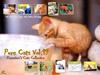 [Pure Cats Vol. 019] Index