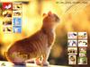 [Pure Cats Vol. 020] Index