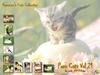 [Pure Cats Vol. 021] Index
