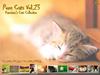 [Pure Cats Vol. 023] Index