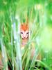 [Pure Cats Vol. 026]