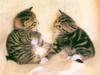 [Pure Cats Vol. 026]