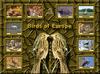 Birds of Europe - Index 001