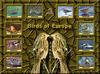 Birds of Europe - Index 002