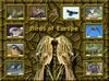Birds of Europe - Index 007