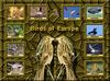 Birds of Europe - Index 008