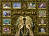 Birds of Europe - Index 011
