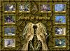 Birds of Europe - Index 014
