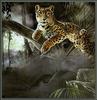 Paintings of Big Cats 2001 Calendar