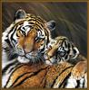 Paintings of Big Cats 2001 Calendar