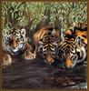 Paintings of Big Cats 2001 Calendar