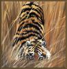 Paintings of Big Cats 2001 Calendar
