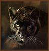 Paintings of Big Cats 2001 Calendar