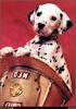[RattlerScans - Gone to the Dogs] Dalmatian