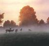 [Animal Art - Bob Henley] Deer