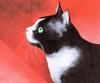 [Animal Art - Brian Barfoot] Cat