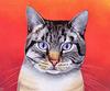 [Animal Art - Brian Barfoot] Cat