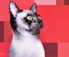 [Animal Art - Brian Barfoot] Cat