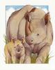 [Animal Art - Ching Walters] Rhino