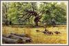 [Animal Art - James A. Brooks] Arundel Monarchs