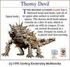 Thorny Devil (Moloch horridus)