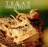 Texas Horned Lizard (Phrynosoma cornutum)