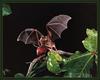 Jamaican Fruit-eating Bat (Artibeus jamaicensis)