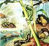 Salamander, Newt, Frogs