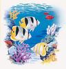 Butterflyfish (Chaetodontidae)