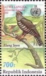 Javan hawk-eagle (Nisaetus bartelsi)