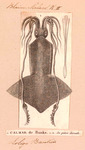 Loligo banksii = Onychoteuthis banksii (common clubhook squid) (cropped)