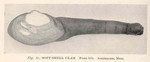 Soft-Shell Clam = Mya arenaria (sand gaper)